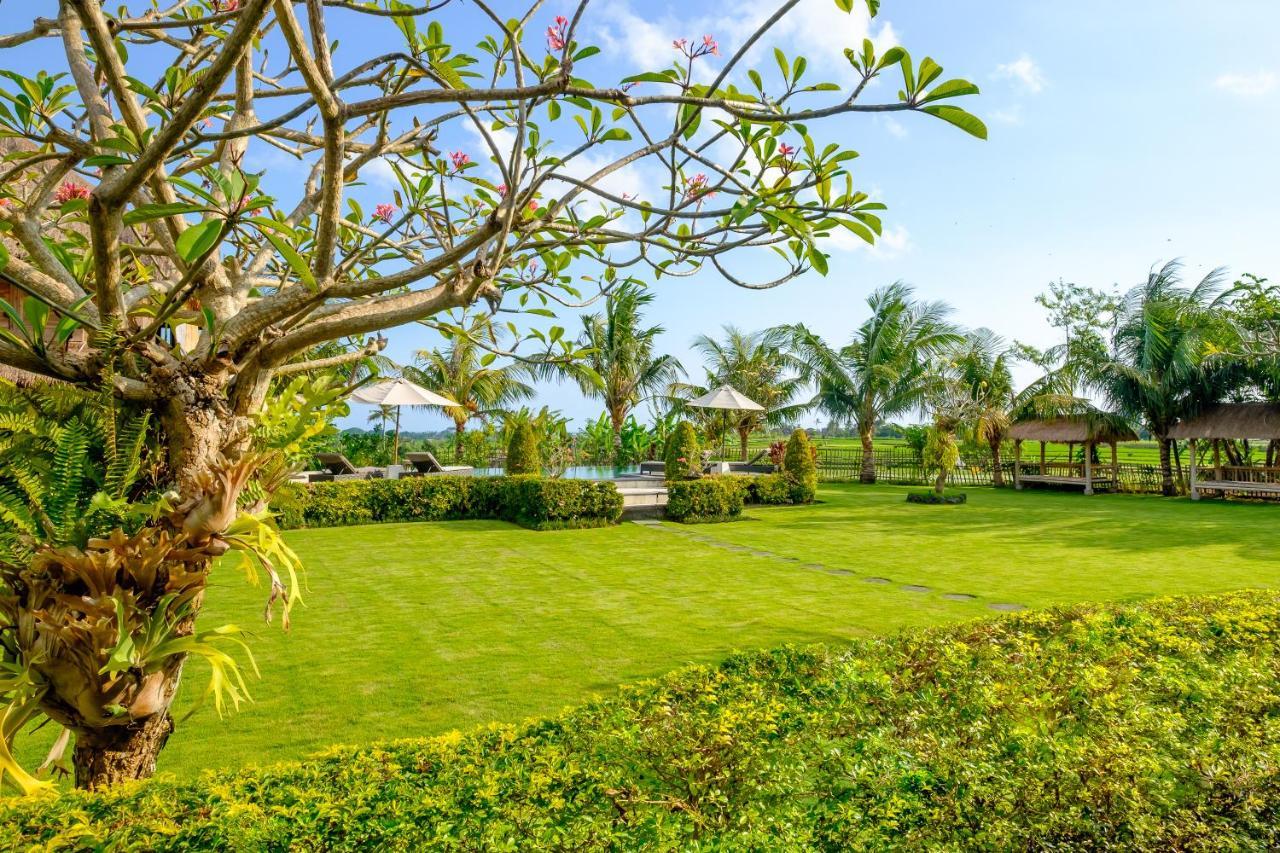 Canggu Wooden Green Paradise Εξωτερικό φωτογραφία