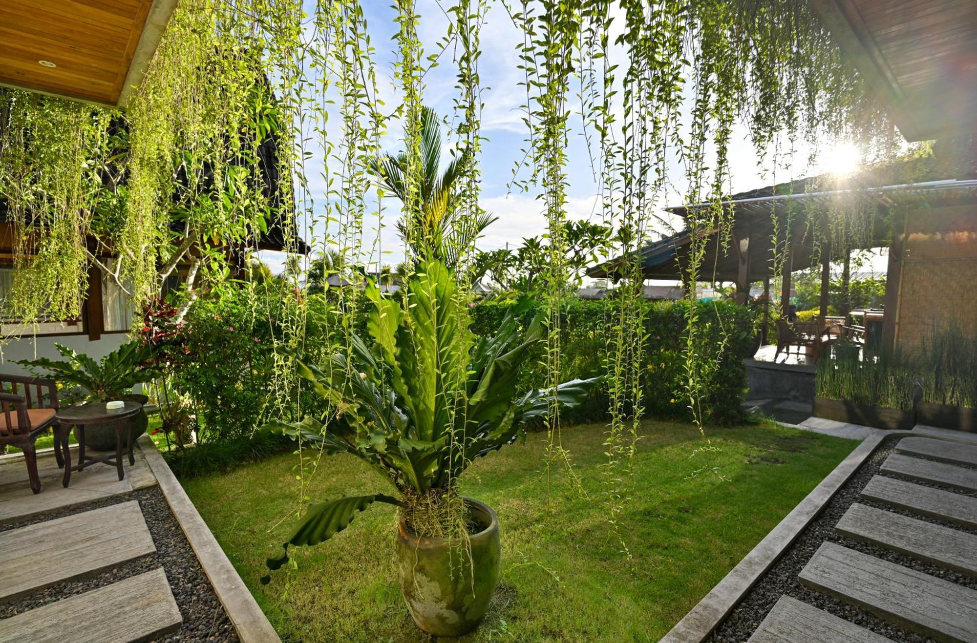 Canggu Wooden Green Paradise Δωμάτιο φωτογραφία