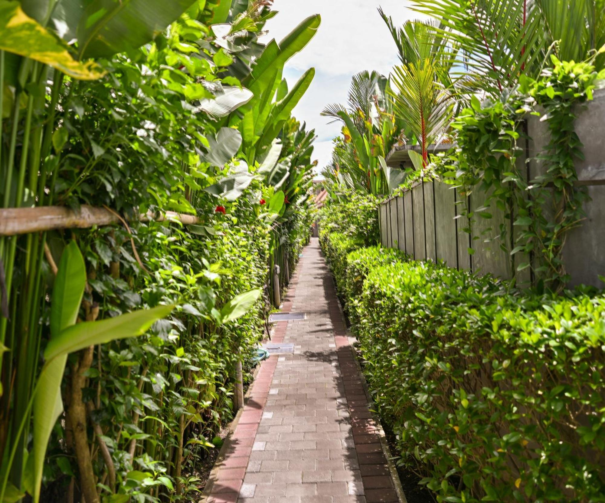 Canggu Wooden Green Paradise Εξωτερικό φωτογραφία