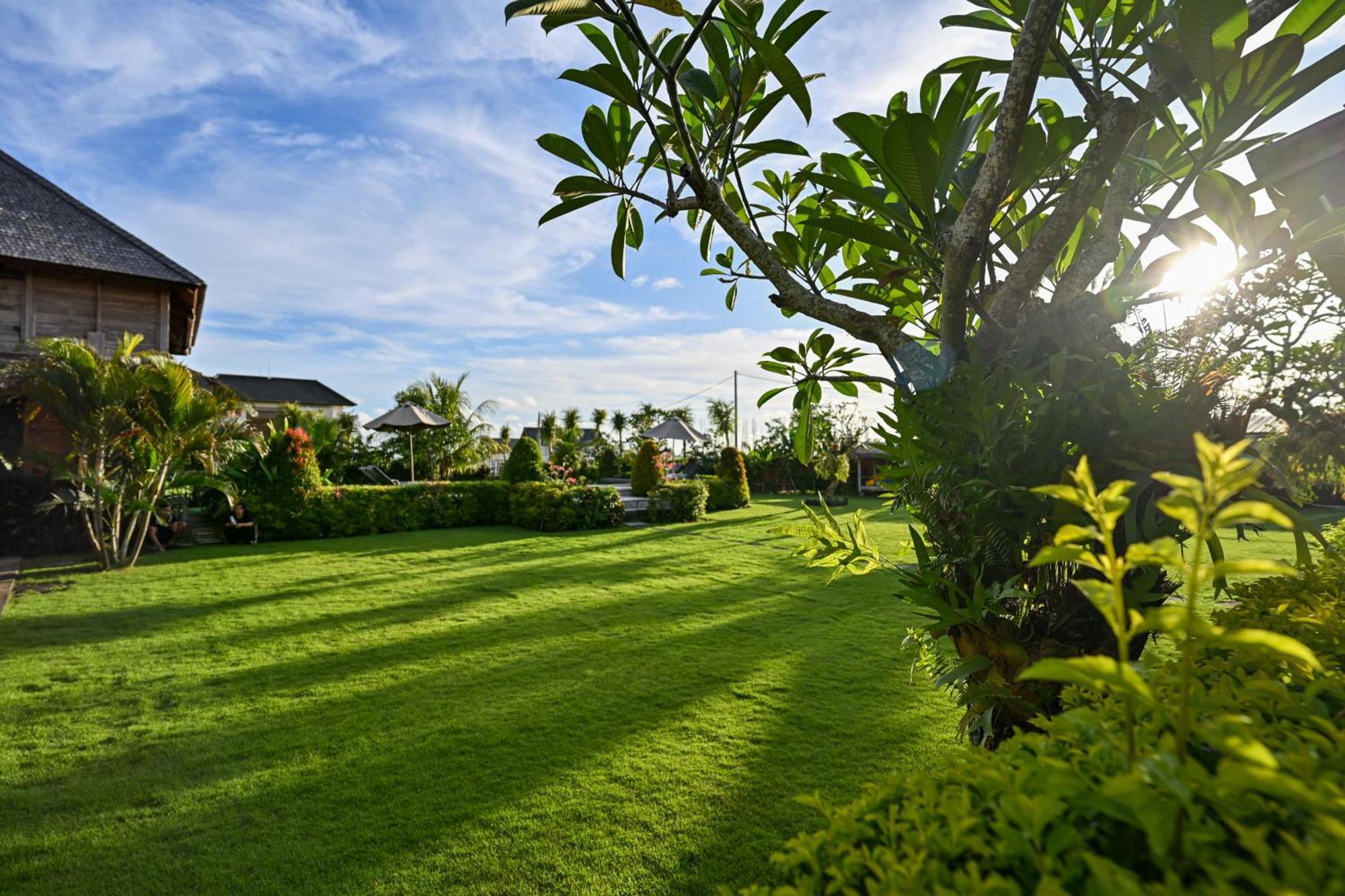 Canggu Wooden Green Paradise Εξωτερικό φωτογραφία